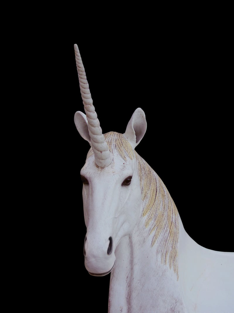 Unicorn Retreat