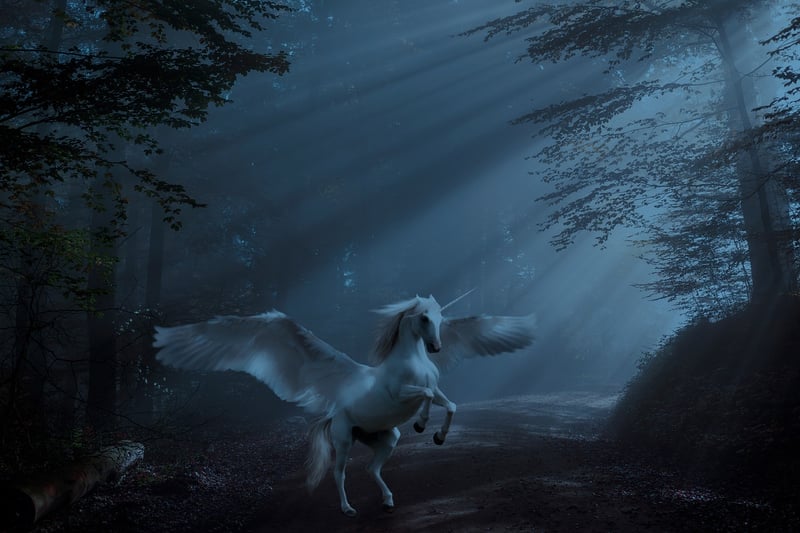 Unicorn Retreat